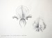 Theresa Nguyen Sketchbook Designs