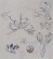 Theresa Nguyen Sketchbook Designs