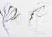 Theresa Nguyen Sketchbook Designs