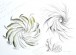 Theresa Nguyen Sketchbook Designs