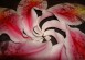 Visual Inspiration