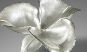 clarus obscurus II