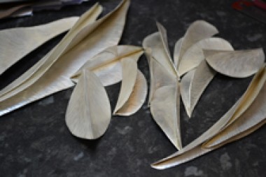 fold forming 2
